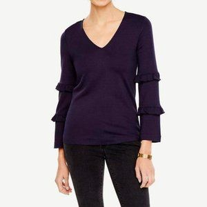 Ann Taylor Ruffles Long Sleeve V-neck Top Women's